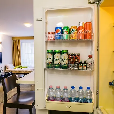 ラグジュアリー　ダウンタウン　アパートメンツ アパートホテル 4*